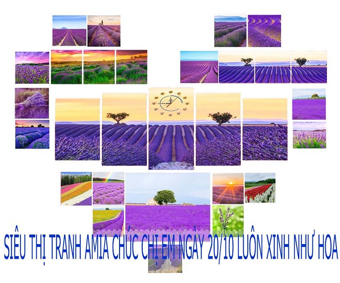 Fanpage chinh thuc cua sieu thi tranh AmiA 211 Vu Tong Phan Thanh Xuan Ha Noi