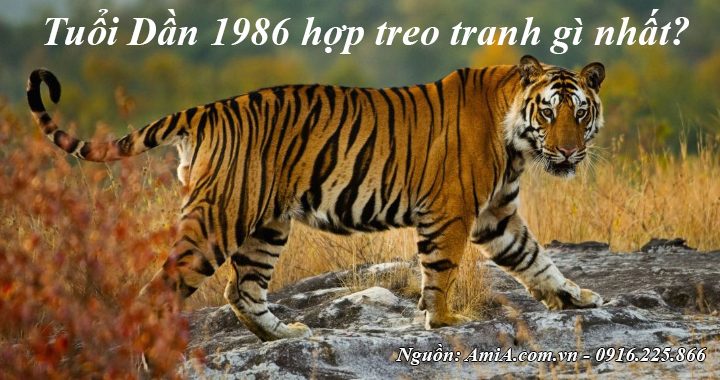 Người tuổi Dần sinh năm 1986 hợp treo với tranh gì nhất